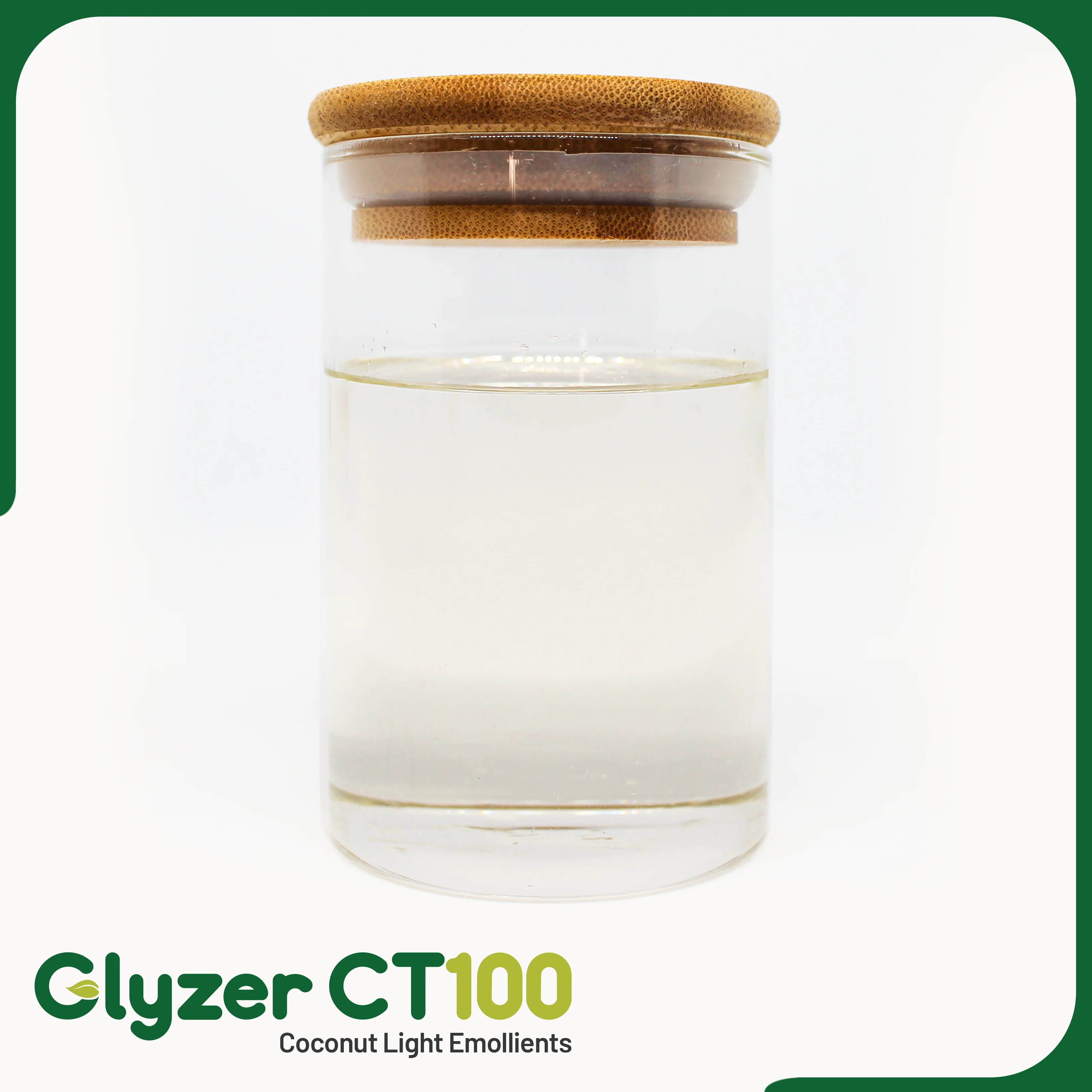 Glyzer-CT100