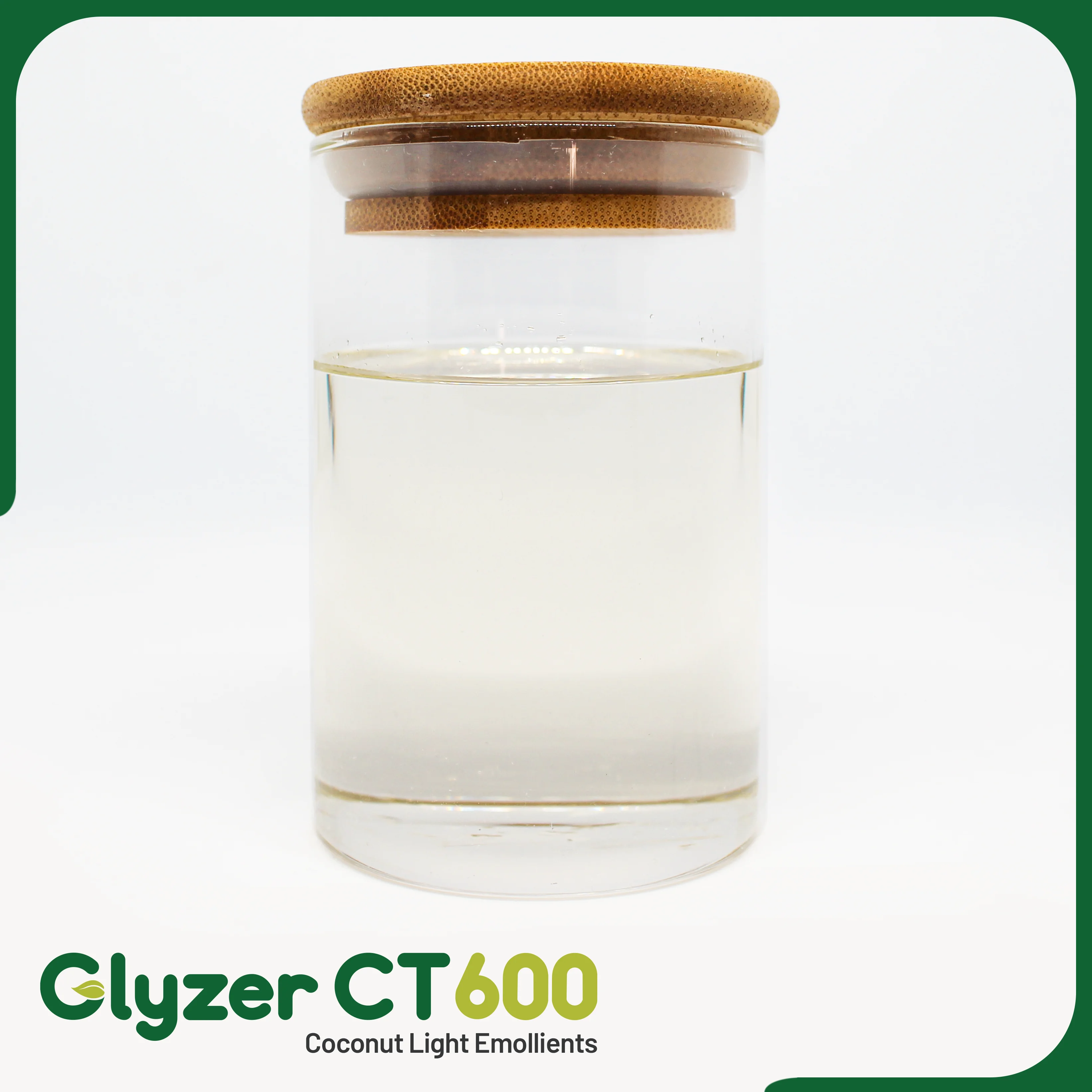 Glyzer-CT600